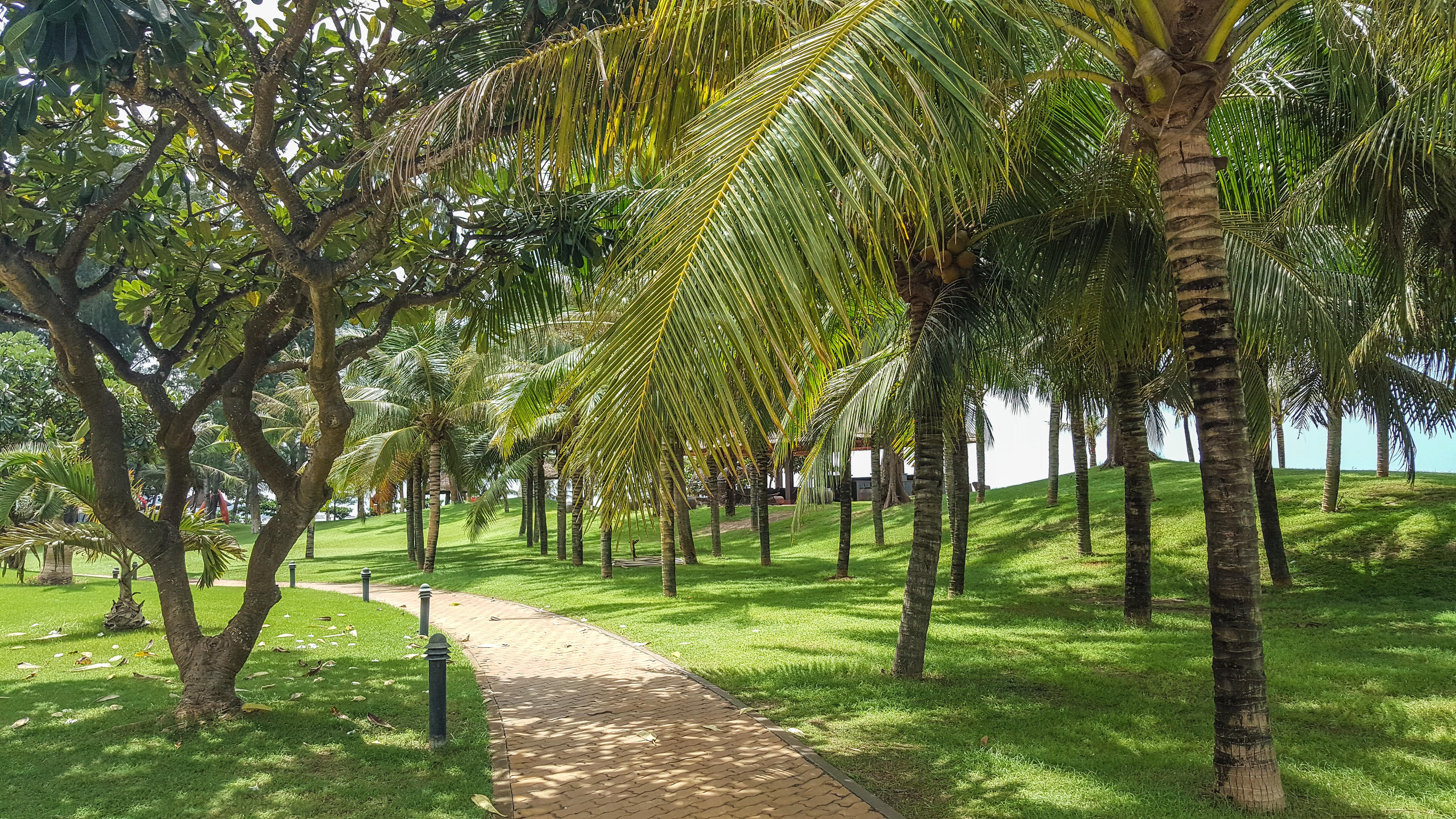 Phan Thiet Ocean Dunes Resort Exteriér fotografie